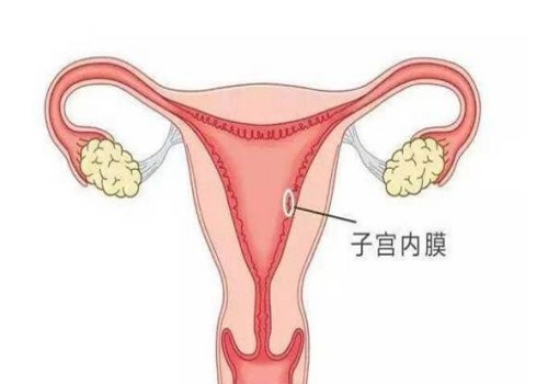 宝宝正常入盆是在什么时候-其实胎儿入盆能为孕妈带来这些好处