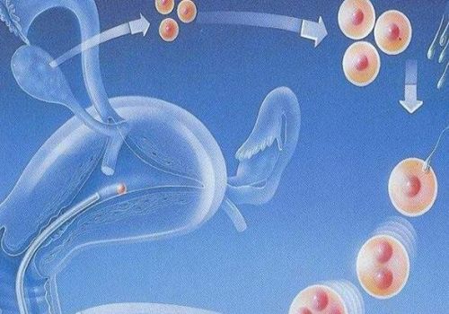 北京供精试管：高考体检血液检查项目汇总，附高考体检项目解析